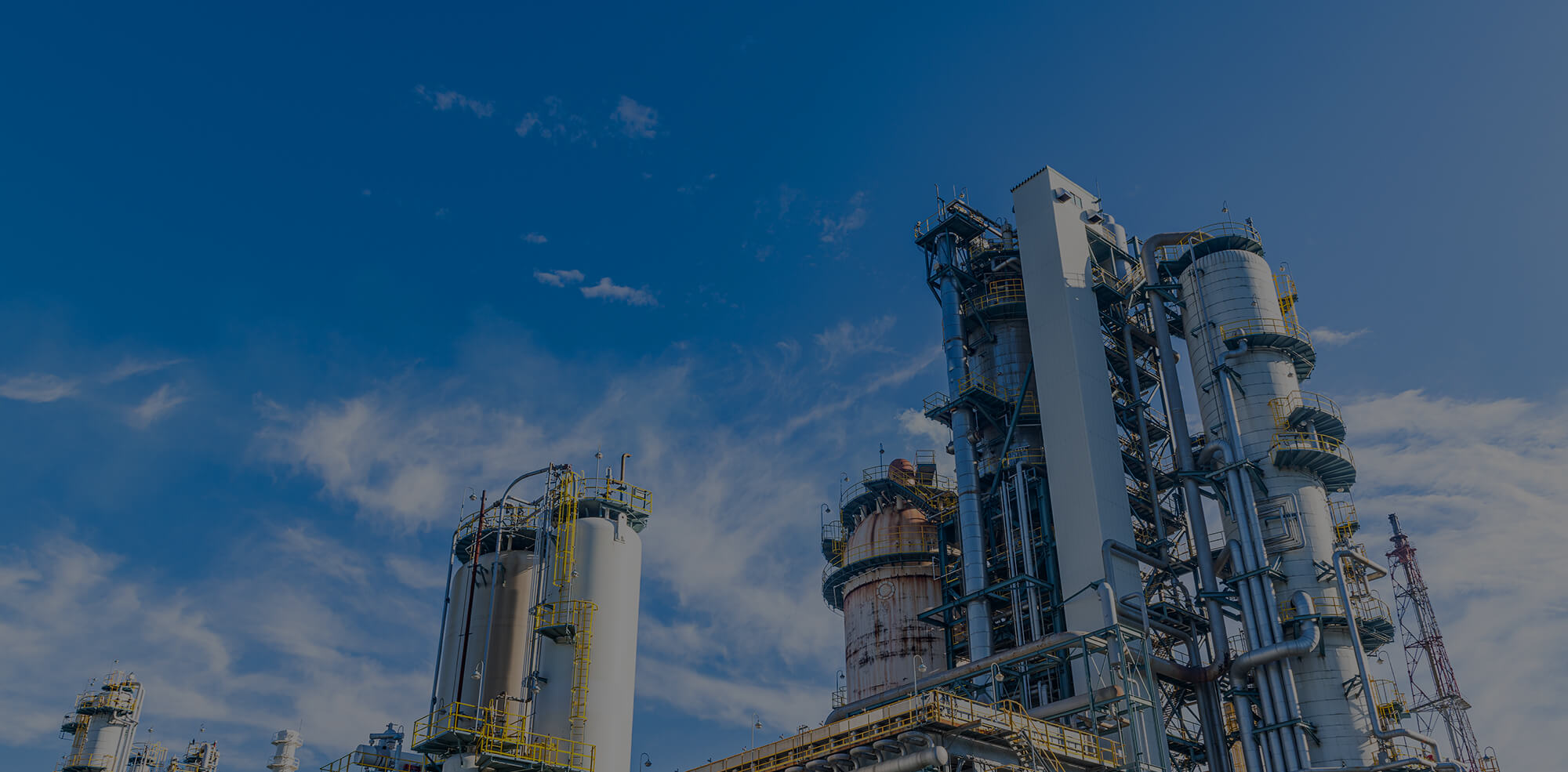 有資格者情報（平成30年度4月現在）